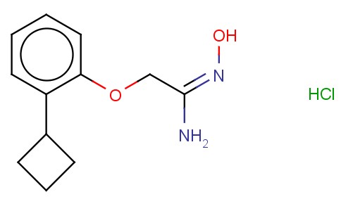 2-(2-CYCLOBUTYLPHENOXY)-N-HYDROXYETHANIMIDAMIDE MONOHYDROCHLORIDE